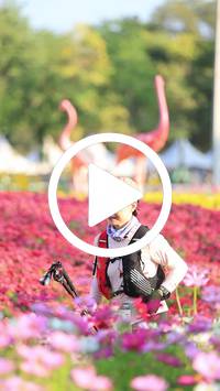 BIB:  <button type="button" onclick="openModal(27583324)" class="btn btn-primary btn-sm float-right" data-toggle="modal" data-target=".modal-high-quality">
                <i class="fa fa-download"></i> Download
                </button>